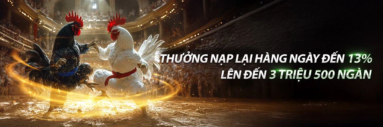 Hình ảnh đá gà trực tuyến hi88