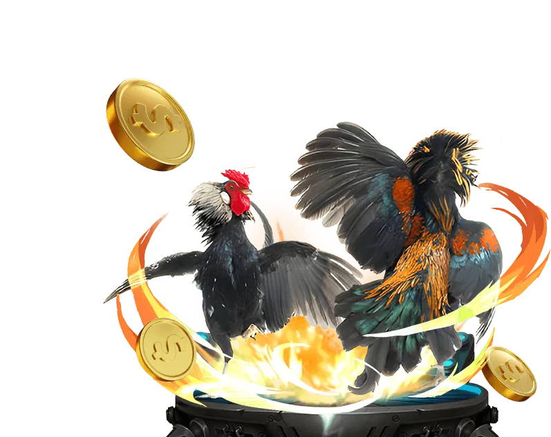 Đá gà trực tuyến hi88.com